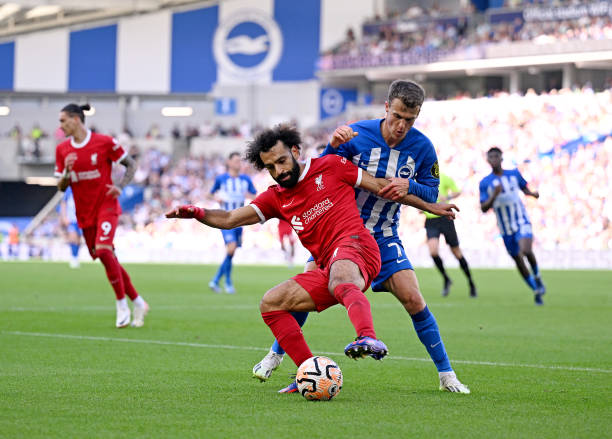 法蒂为何不 法蒂为何不